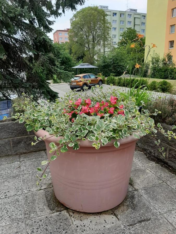 Kvetinovy Apartman A3B V Chomutove Екстериор снимка